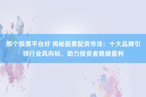 那个股票平台好 揭秘股票配资市场：十大品牌引领行业风向标，助力投资者稳健盈利