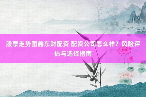 股票走势图鑫东财配资 配资公司怎么样？风险评估与选择指南