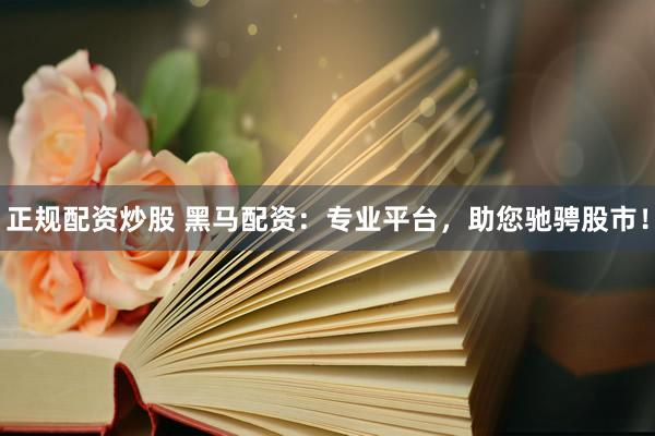 正规配资炒股 黑马配资：专业平台，助您驰骋股市！