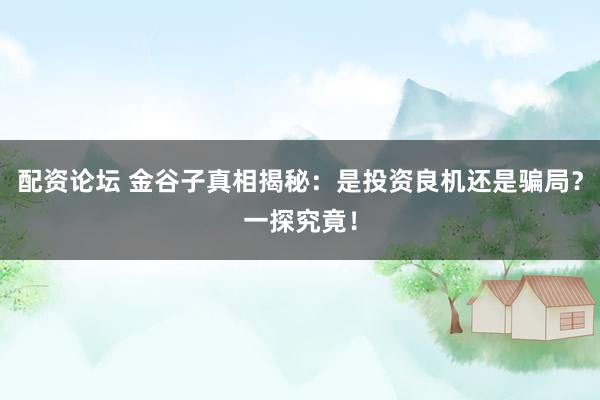配资论坛 金谷子真相揭秘：是投资良机还是骗局？一探究竟！