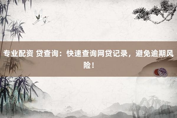 专业配资 贷查询：快速查询网贷记录，避免逾期风险！