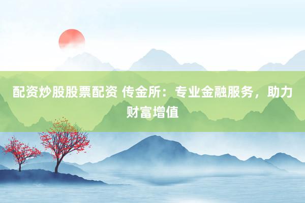 配资炒股股票配资 传金所：专业金融服务，助力财富增值