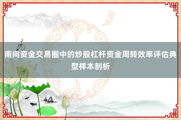 南向资金交易圈中的炒股杠杆资金周转效率评估典型样本剖析
