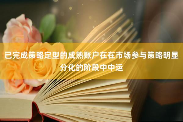 已完成策略定型的成熟账户在在市场参与策略明显分化的阶段中中运